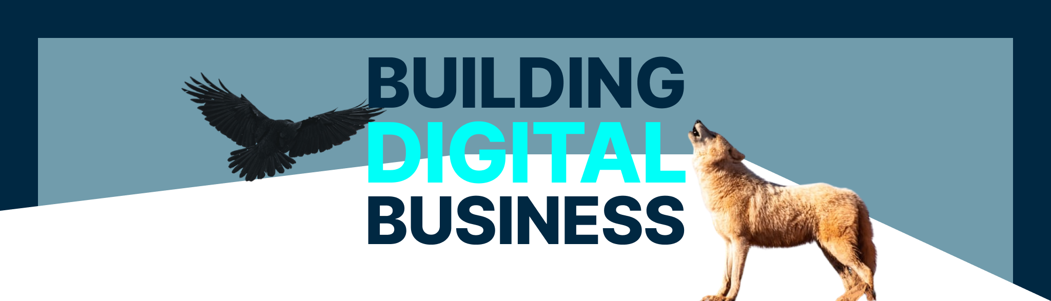 Raaf & Wolf Building Digital Business